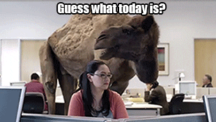 11p0HvVs1hhOX6.gif