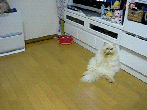147KbBw7VGP3KE.gif