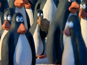 15zg4tmiT44N2.gif