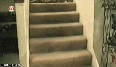 1AzW5Fw4DFdja.gif