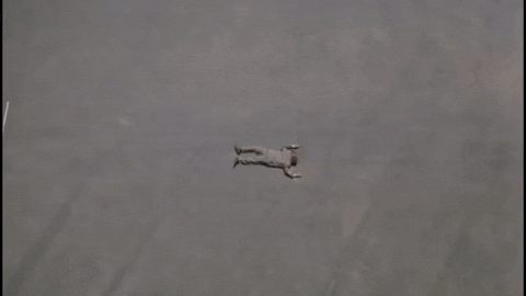 1NSudJYP9g0Ao.gif