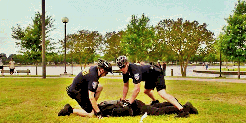 1p4XgfELNdIt2.gif