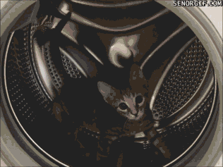 1w9KRaHtioBAQ.gif