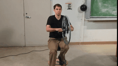 http://i.giphy.com/3o6YghaGlIHkK9b5wQ.gif