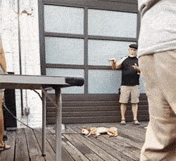 3o6ZsXMv2VmF9HQwdG.gif