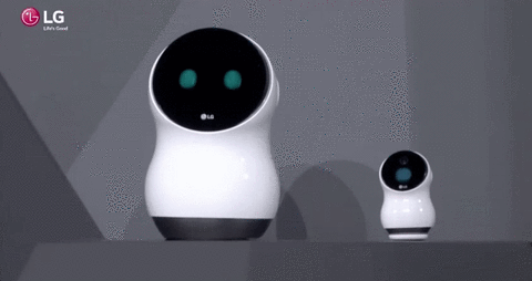 LG Hub Robot
