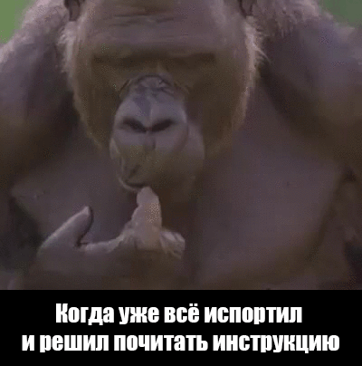 3o7btQdxsFB7cF6u9W.gif