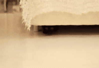 3ohzdKkwi5UYzOE4XC.gif