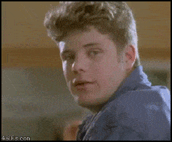 4LJgreQ6xZzJC.gif