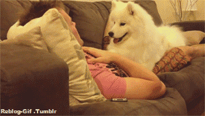 77mtMvm0MtyP6.gif