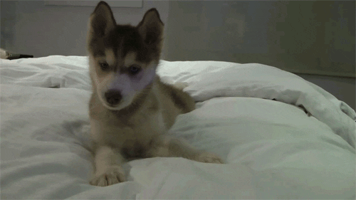 7QwvQaSSKee6A.gif