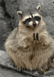 http://i.giphy.com/8634xUIbcF1wA.gif