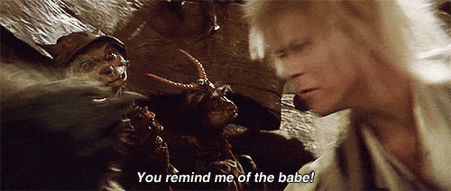 8OahBOopuRq6c.gif