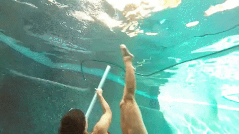 9qn3vXzrMwIPm.gif