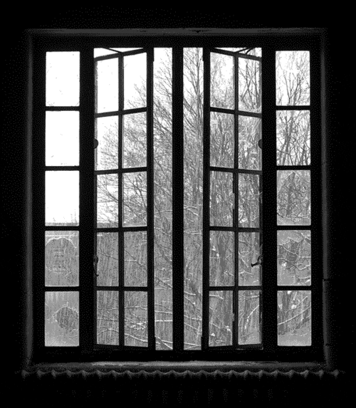 window