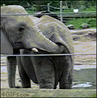 AkGNTfqqx3kwU.gif