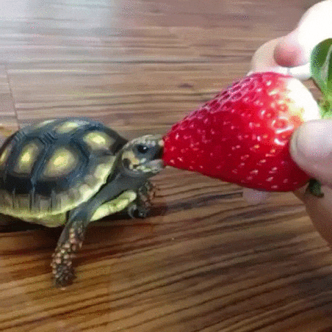 ByCYVTGb2g8Ug.gif