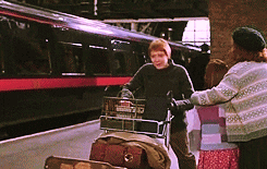 Weasley Brothers sí que pasan Fred y George Weasley Anden 9 y 3/4 KrakenByte Kraken