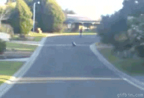 CllQuVCEklVHq.gif