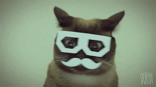 D9UwEGq3sTESA.gif