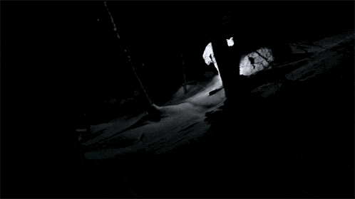 DBFLFiYw7oRuU.gif