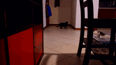 http://i.giphy.com/DUHBqh7Mgw9na.gif