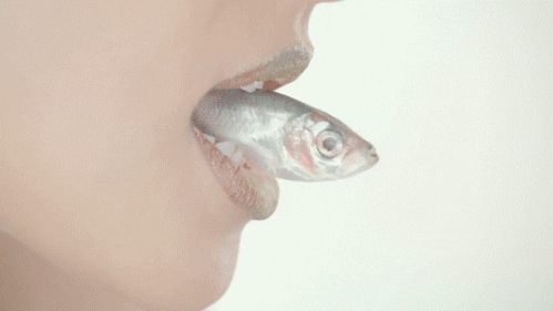 [Image: E1UskRbX93Y2Y.gif]