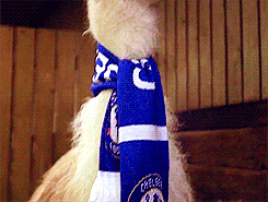 http://i.giphy.com/E9CjlWxrnoFjO.gif