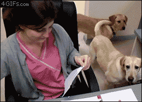 http://i.giphy.com/Fmf0TynOhypS8.gif
