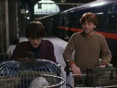 Harry no pasa Harry Potter Anden 9 y 3/4 KrakenByte Kraken