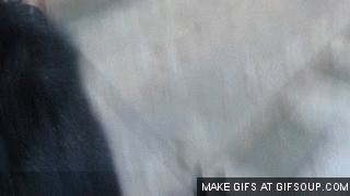 ICZ3hmi1XMsBa.gif