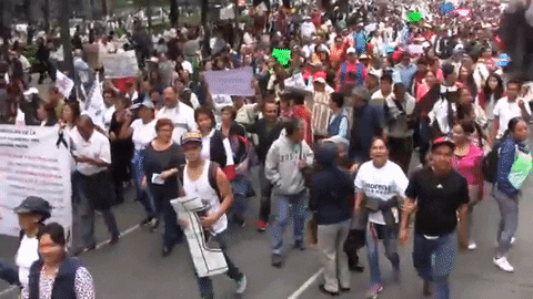 Resultado de imagen para maestros contra policias gif