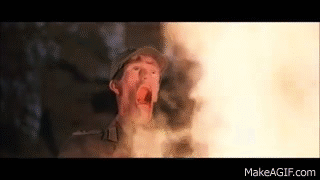 LyrgT9BxoVV7i.gif
