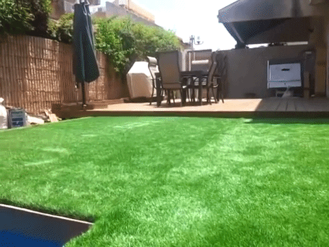 piscine cach&eacute;e par le gazon