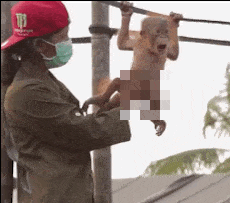 [Image: OuKBMGRtQpAuk.gif]