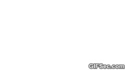 Pl5qxSsF01VCg.gif