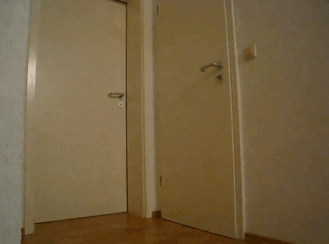 Tyy45sw7TIfYc.gif