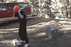 YD94dyHmWRW0w.gif