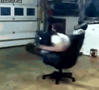Z8M67DTvAtqg.gif