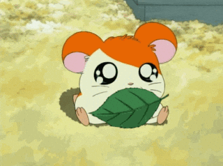 ZtB2l3jHiJsFa.gif