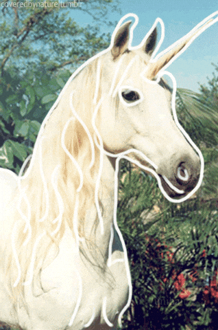 unicorn