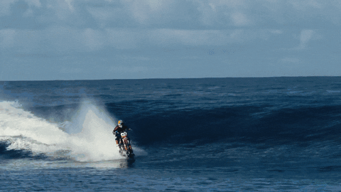 http://i.giphy.com/df6S3b5MRMM2Q.gif