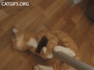 ey7aT0Fm64ecw.gif