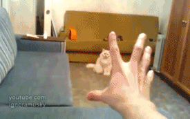 gjd8fUvNYNig0.gif