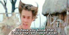 hQ0Aamnkb2xvq.gif