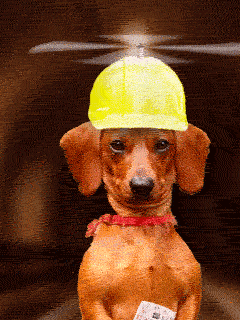 helicopter hat