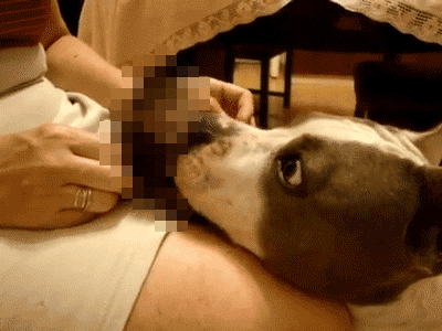 [Image: hZdLY4DcbVV84.gif]