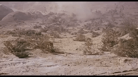 kqwKX60mS70re.gif