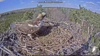 l0IxZDdmE4ipfGT4I.gif?utm_source=tyisho.com&utm_content=Text+link&utm_medium=url-zaglushka