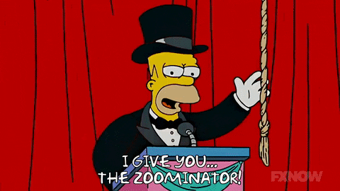 Os doy... ¡la Zoominator! homer simpson roller coaster